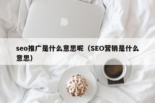 seo推广是什么意思呢(SEO营销是什么意思)