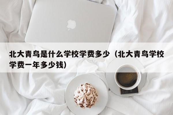 北大青鸟是什么学校学费多少(北大青鸟学校学费一年多少钱)