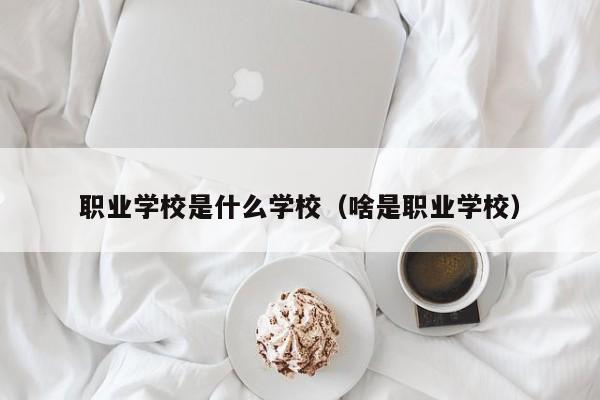 职业学校是什么学校(啥是职业学校)