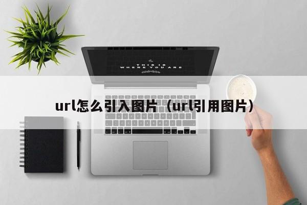 url怎么引入图片(url引用图片)