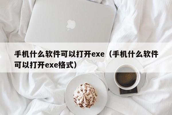 手机什么软件可以打开exe(手机什么软件可以打开exe格式)