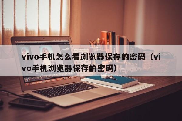 vivo手机怎么看浏览器保存的密码(vivo手机浏览器保存的密码)