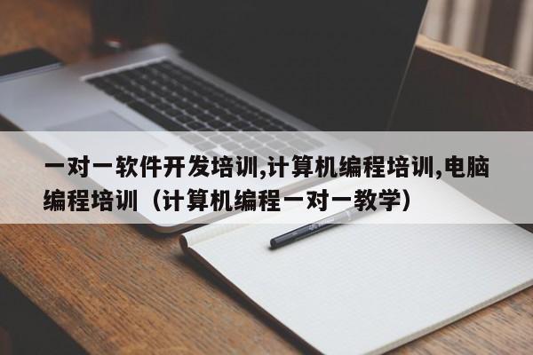 一对一软件开发培训,计算机编程培训,电脑编程培训(计算机编程一对一教学)