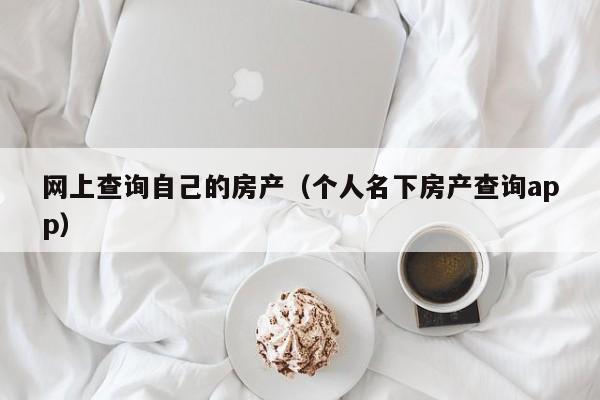 网上查询自己的房产(个人名下房产查询app)