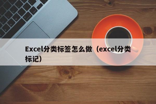 Excel分类标签怎么做(excel分类标记)
