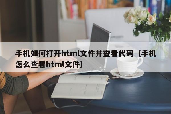 手机如何打开html文件并查看代码（手机怎么查看html文件）