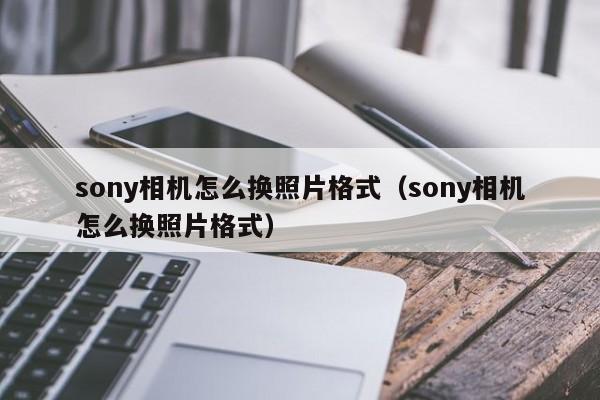 sony相机怎么换照片格式(sony相机怎么换照片格式)