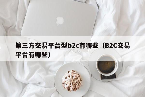 第三方交易平台型b2c有哪些(B2C交易平台有哪些)