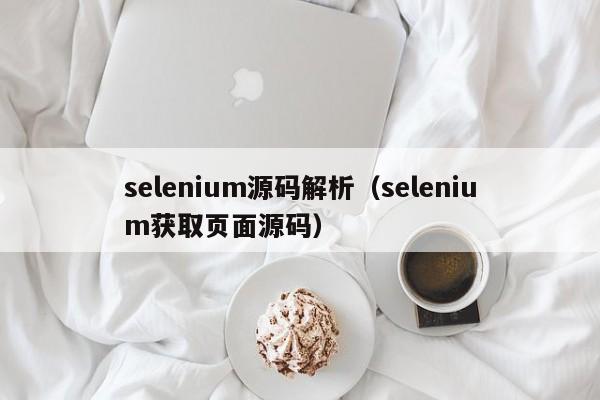 selenium源码解析(selenium获取页面源码)