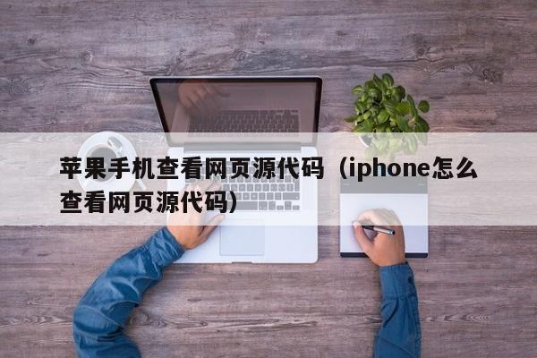苹果手机查看网页源代码(iphone怎么查看网页源代码)