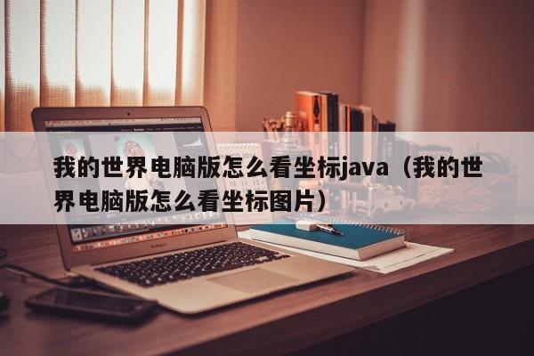 我的世界电脑版怎么看坐标java(我的世界电脑版怎么看坐标图片)