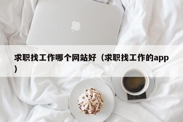求职找工作哪个网站好（求职找工作的app）