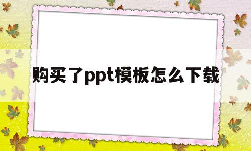 购买了ppt模板怎么下载(购买了ppt模板怎么下载到电脑)