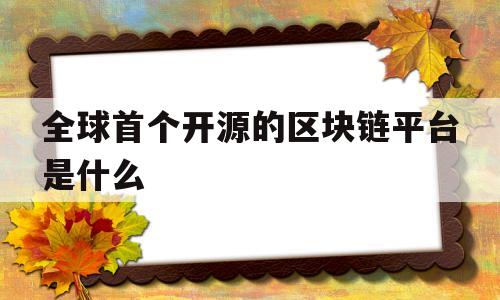全球首个开源的区块链平台是什么(全球首个开源的区块链平台是什么意思)