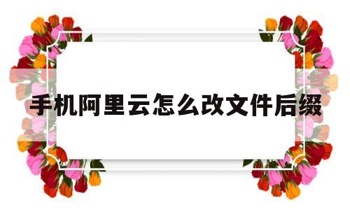 手机阿里云怎么改文件后缀(手机阿里云盘怎么改文件格式)