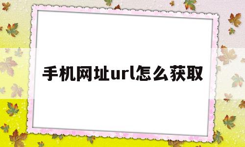 手机网址url怎么获取(手机网页url地址怎么获取)