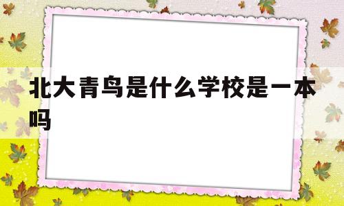 北大青鸟是什么学校是一本吗(北大青鸟是什么学校 这个学校怎么样)