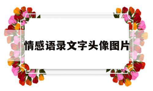 情感语录文字头像图片(情感语录文字头像图片唯美)
