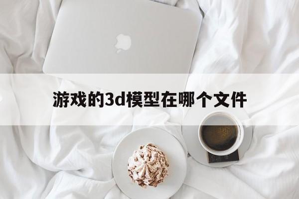 游戏的3d模型在哪个文件(游戏的3d模型在哪个文件里)