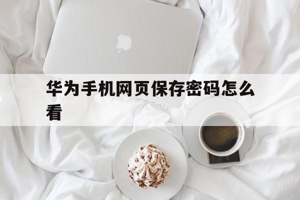 华为手机网页保存密码怎么看(华为手机网页保存的密码怎么查看)