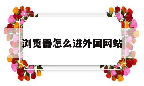 浏览器怎么进外国网站(电脑浏览器怎么进入外国网站)