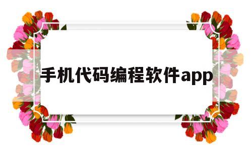 手机代码编程软件app(手机代码编程软件idle)