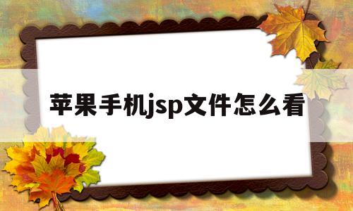 苹果手机jsp文件怎么看(苹果手机jsp文件怎么看内容)