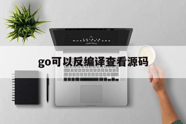 go可以反编译查看源码的简单介绍