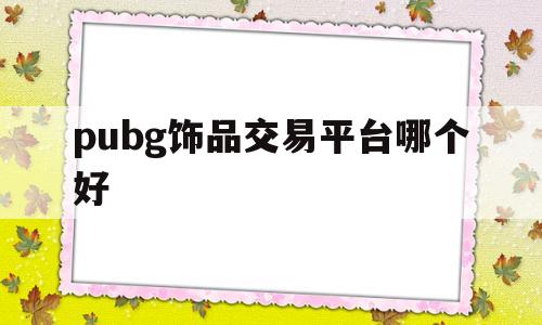 pubg饰品交易平台哪个好(pubg饰品交易平台哪个好2021)