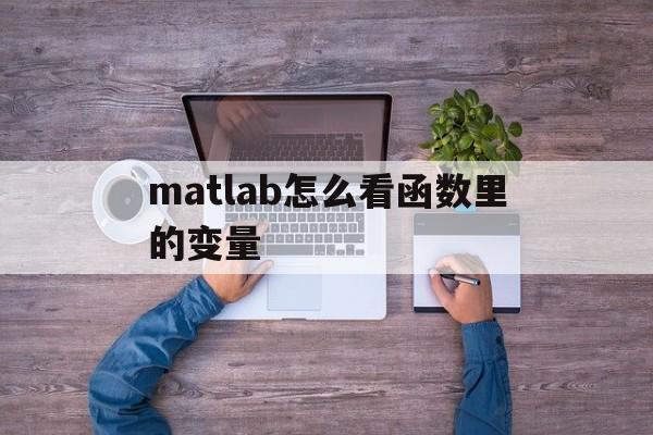 matlab怎么看函数里的变量(matlab中如何查看函数的用法)