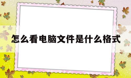 怎么看电脑文件是什么格式(怎么看电脑文件是什么格式打开的)