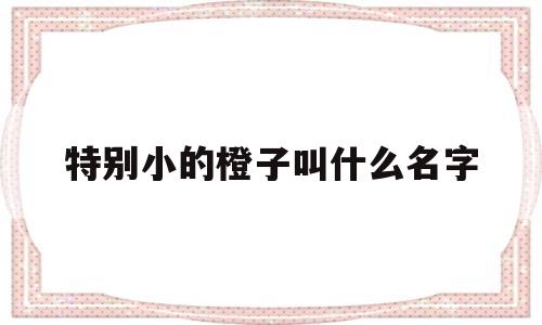 特别小的橙子叫什么名字(有一种很小的橙子是什么品种)