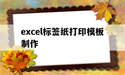 excel标签纸打印模板制作(excel如何打印标签贴纸打印格式)