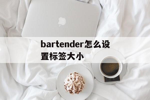 bartender怎么设置标签大小(bartender打印标签怎么设置打印出来标准)