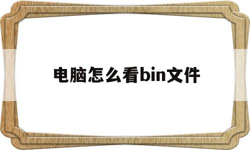 电脑怎么看bin文件(电脑怎么查看bin文件 视频)