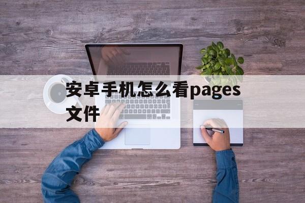 安卓手机怎么看pages文件(安卓手机怎么看pages文件内容)