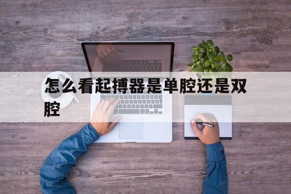 怎么看起搏器是单腔还是双腔(心脏起搏器是单腔的好还是双腔的好)