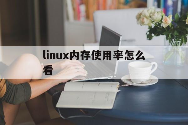 linux内存使用率怎么看(linux怎么查询内存使用率)