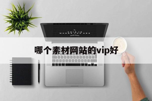 哪个素材网站的vip好(哪个素材网站的vip好一点)