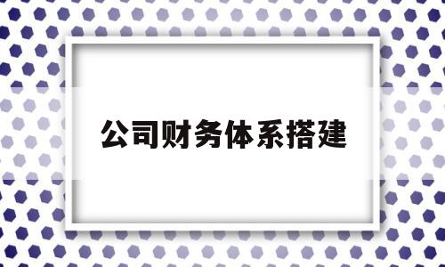 公司财务体系搭建(初建公司财务体系搭建工作)