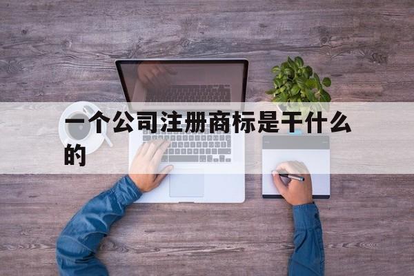 一个公司注册商标是干什么的(注册一个公司商标大概要多少钱)
