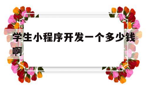 学生小程序开发一个多少钱啊(学生小程序开发一个多少钱啊怎么算)