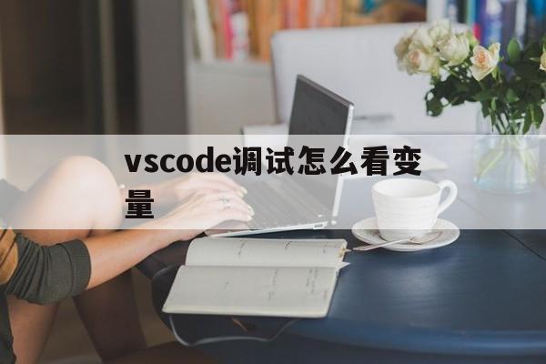 vscode调试怎么看变量的简单介绍