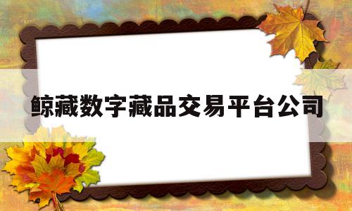 鲸藏数字藏品交易平台公司(厦门鲸藏之家文化有限公司签约)