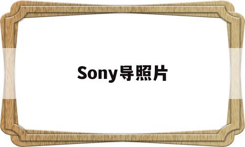 Sony导照片(sony导照片软件)