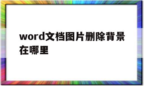 word文档图片删除背景在哪里(word文档图片删除背景在哪里找)