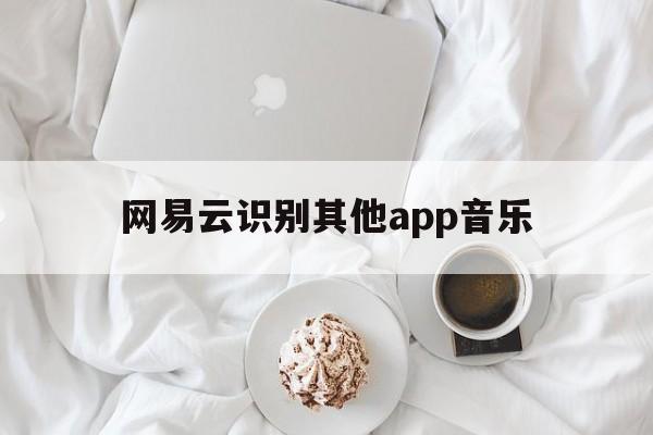 网易云识别其他app音乐(网易云音乐怎么识别其他应用的音乐)