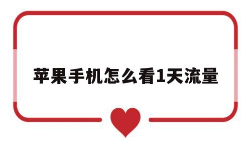 苹果手机怎么看1天流量(iphone如何看一天流量使用)