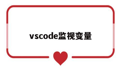 vscode监视变量(vscode监视变量被函数修改)
