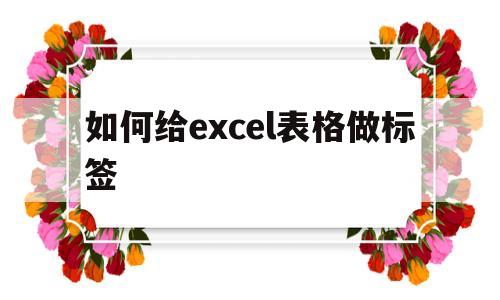 如何给excel表格做标签(如何给excel表格做标签分类)